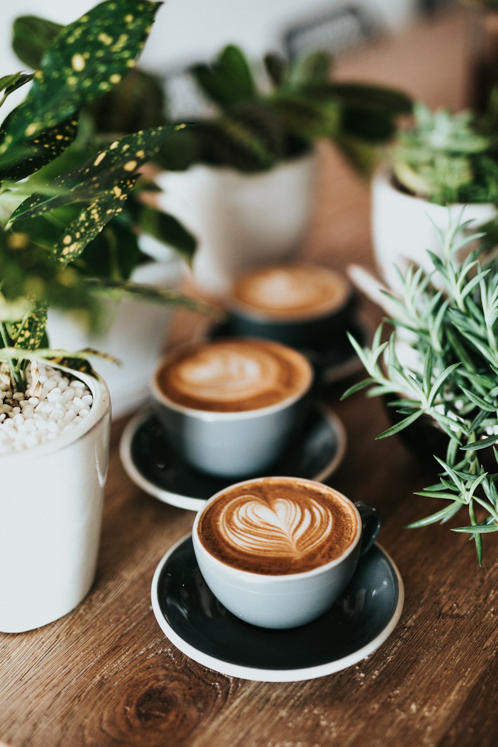 Café, foto ilustrativa